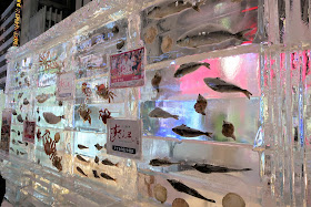 北海道 札幌 さっぽろ雪まつり 魚氷