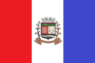 Bandeira de São Sebastião do Rio Preto MG