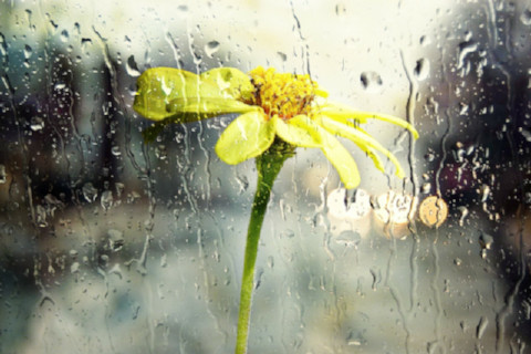 rain-wet-window-glass-yellow