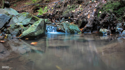 creek with waterfall in the Börzsöny