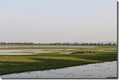 Kaziranga Kaziranga