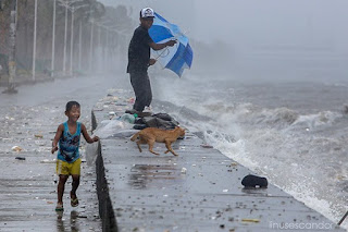 Niño Filipino Encuentra a una Gata Pariendo Durante un Tifón y su Accionar es Absolutamente Conmovedor