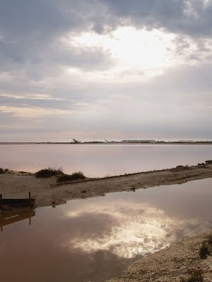 Camargue: saline di Port Saint Louis du Rhone