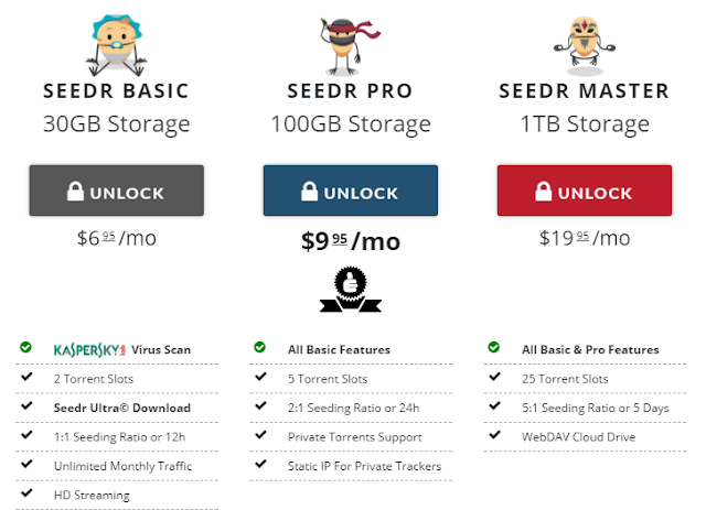 paid plan at seedr