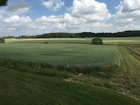 Farmland surrounding Björksta parish church.