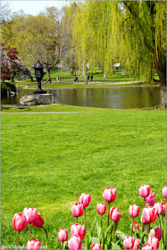 Primavera en el Boston Public Garden