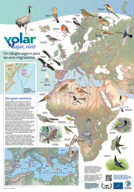 http://www.seo.org/wp-content/uploads/2013/10/Poster-migracion_VVV.pdf