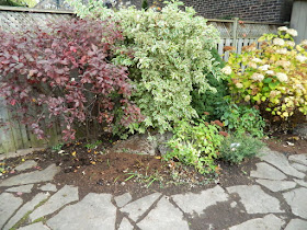 Leslieville Toronto Backyard Garden Fall Clean up after by Paul Jung Gardening Services