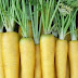 La zanahoria amarilla y sus propiedades