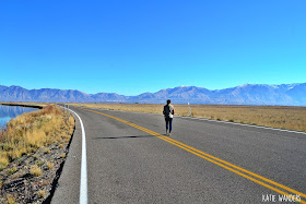 Bear River Migratory Bird Refuge