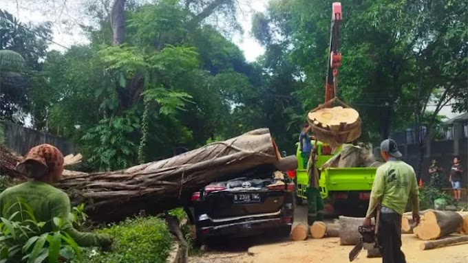 Ganjar jadi Saksi Mata Pohon Tumbang di Depan Rumah Prabowo