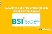 31 Cara Bayar SBMPTN UTBK SNBT 2024 Lewat BSI Terlengkap