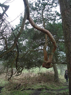 On Eyam Edge