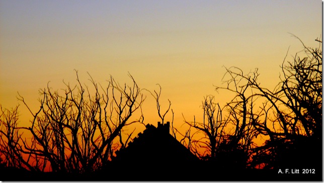 Abandoned homestead.  Near Goldendale, Washington.  July 13, 2008.  Photo of the Day, May 14, 2012.