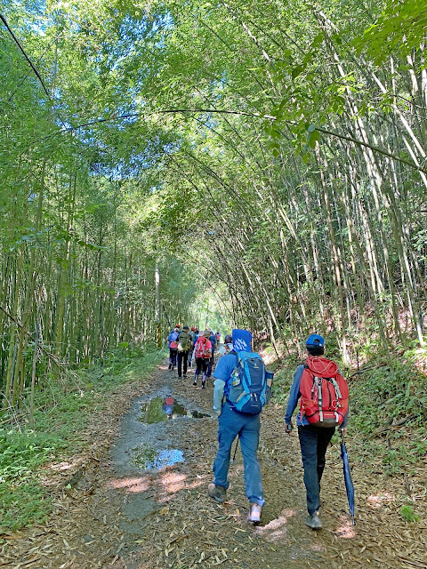 往大窩山登山口