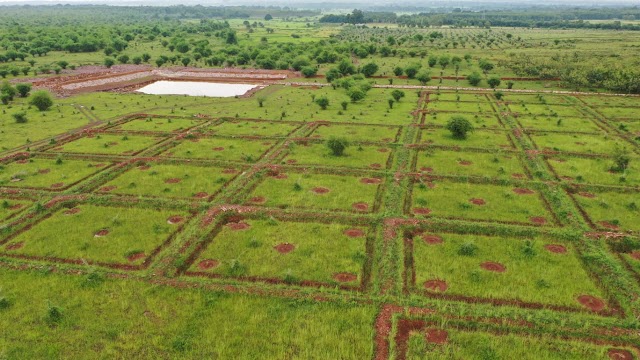  भू-जल संरक्षण के लिए वन क्षेत्रों के नालों में काफी तादाद में हो रहे कार्य