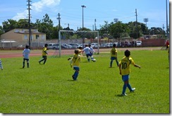DSC_0506 (800x533)