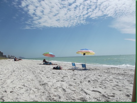 Beaches near Koreshan 022
