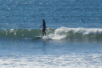 Surfing with the sun, seals, and seagulls  - and a call to authors