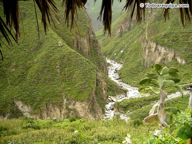 paisajes naturales del mundo. hair paisajes naturales