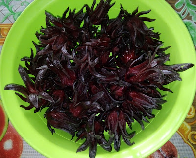 buah roselle