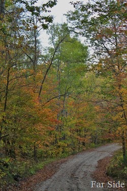 Minnesota backroads