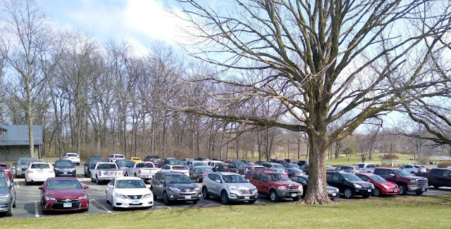 Rivalry Improves Parking Performance