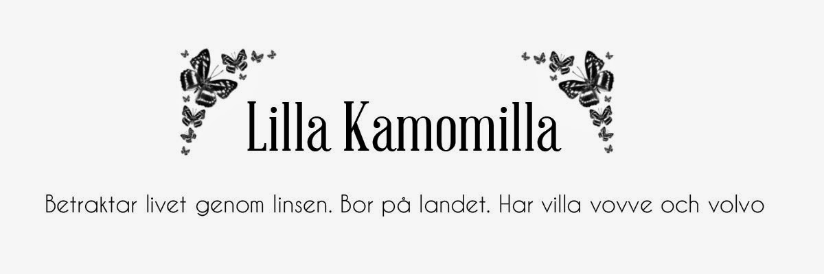 I Lilla Kamomillas Villa