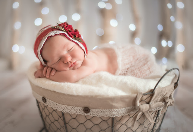 DeKalb Sycamore IL Christmas Mini Session with white lights and birch trees indoor