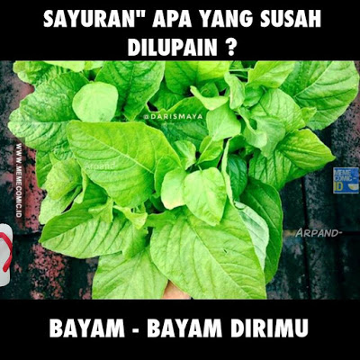 10 Meme 'Tebakan-tebakan Nama Sayuran' Ini Lucunya Bikin Mikir