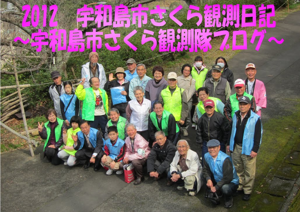 2012　宇和島市さくら観測日記