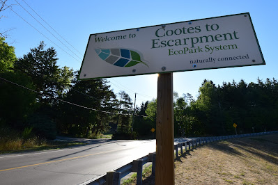 Cootes to Escarpment Bruce Trail.