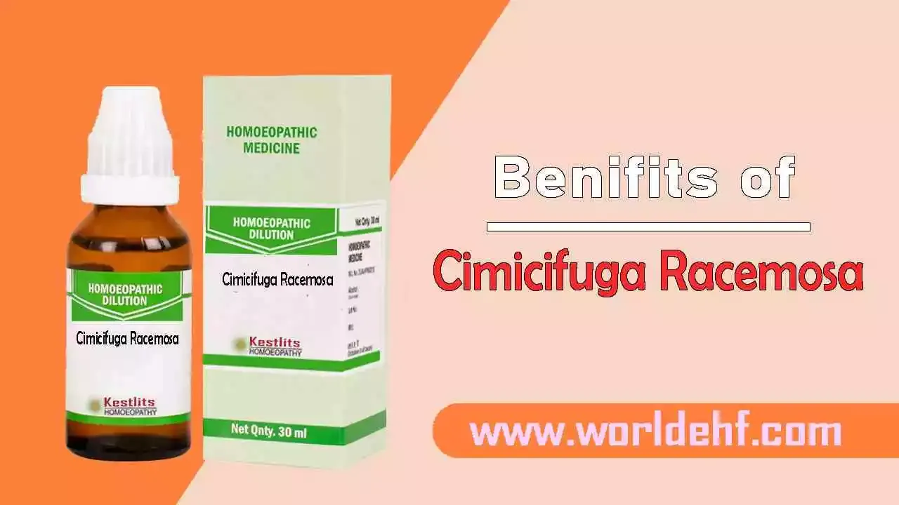 Benifits of Cimicifuga Racemosa