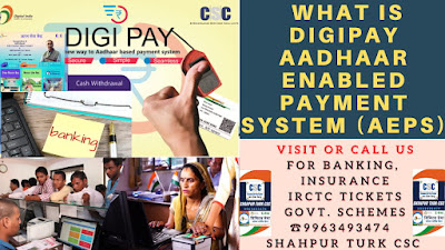 What is DigiPay AADHAAR Enabled Payment Service (AEPS)
