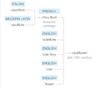 cauliflower etymology