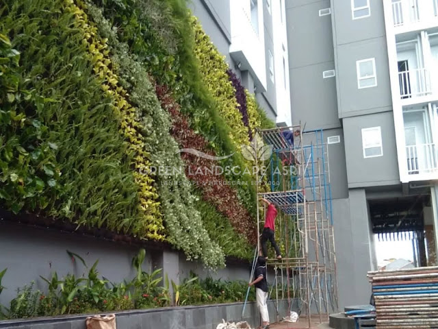 Jasa Pembuatan Vertical Garden Pasuruan - Tukang Taman Vertikal Profesional