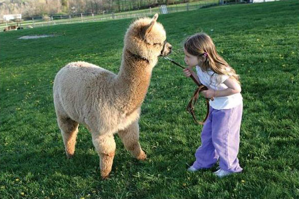 Kids and Pets Seen On www.coolpicturegallery.us