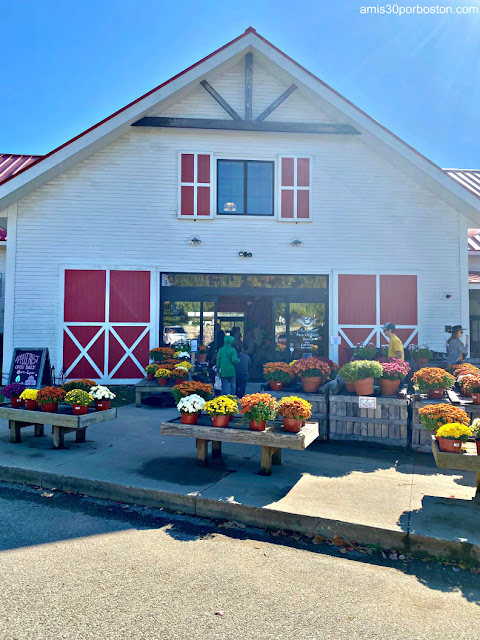 Applecrest Farm Orchards en New Hampshire