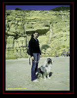 Australian Shepherd in Salema beach