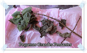 Pequenos Grandes Pensantes