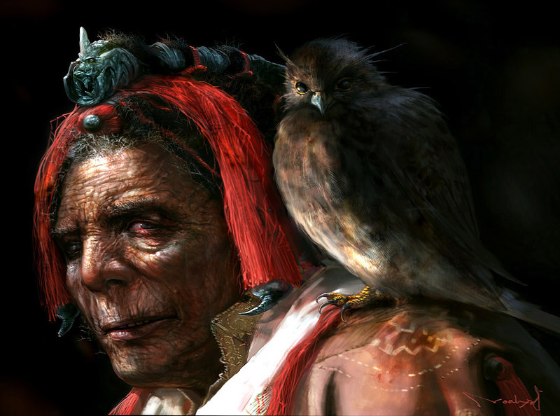 Old man and falcon by noah kh