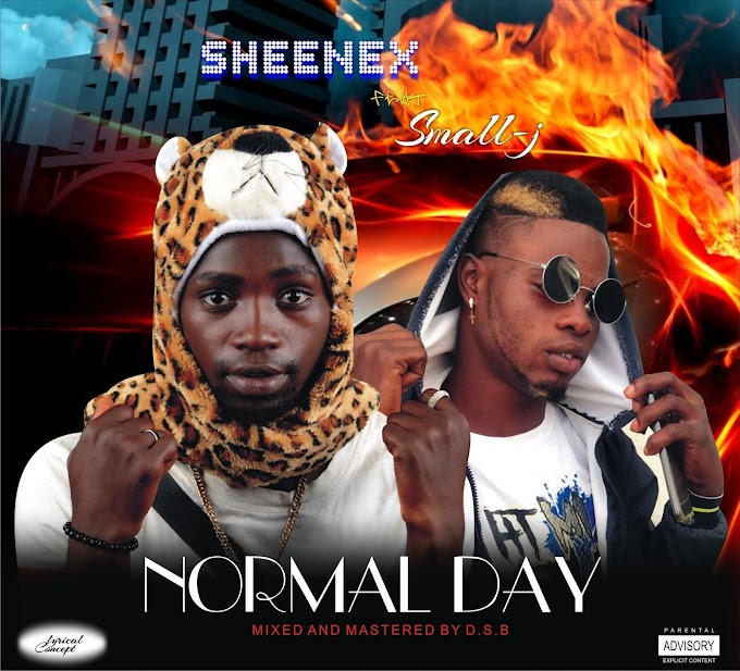 Sheenex ft Small j-Normal Day