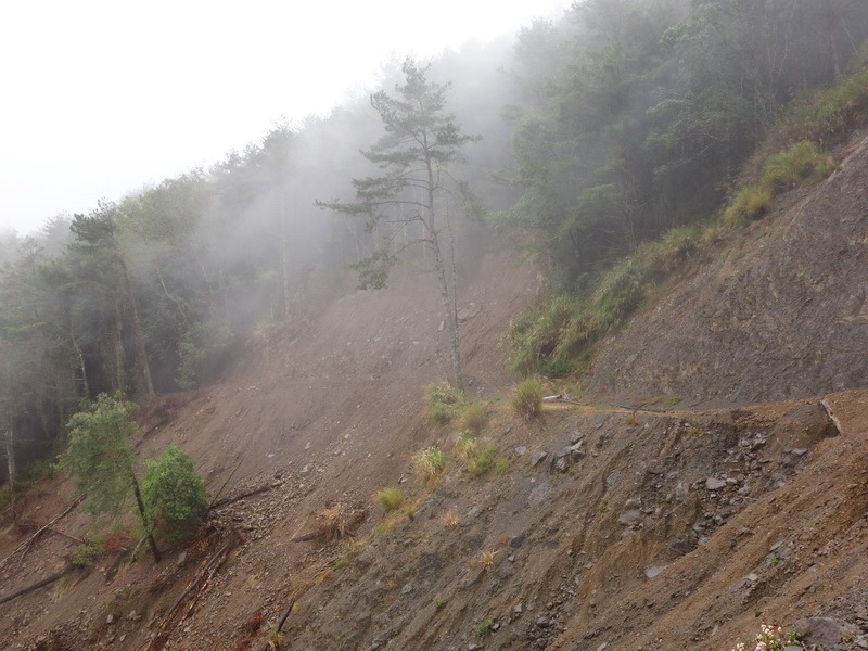 2013_1126-1129 鹿林山-1_137