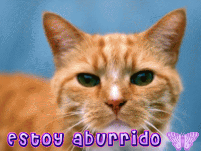 aburrido 21
