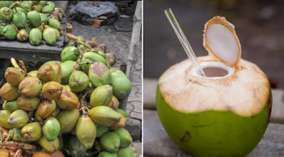 Coconut Water