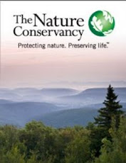 The Nature Conservancy