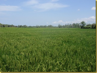 PA080693