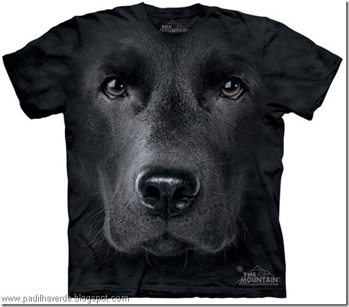camisetas de Montain-4