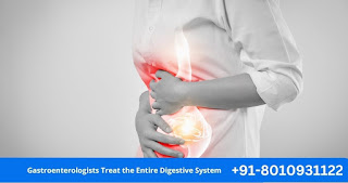 Trusted Pet Ka Specialist Doctor Near You in South Delhi for Expert Digestive Care