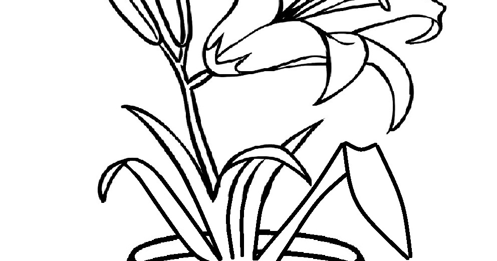 130 Gambar Ilustrasi Bunga  Beserta Potnya Gambarilus